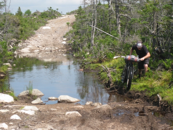 The first 12 km from Marystown was gravel road but once on the Garnish Pond Trail it became a true ATV trail, with sections of bog that required us to dismount.