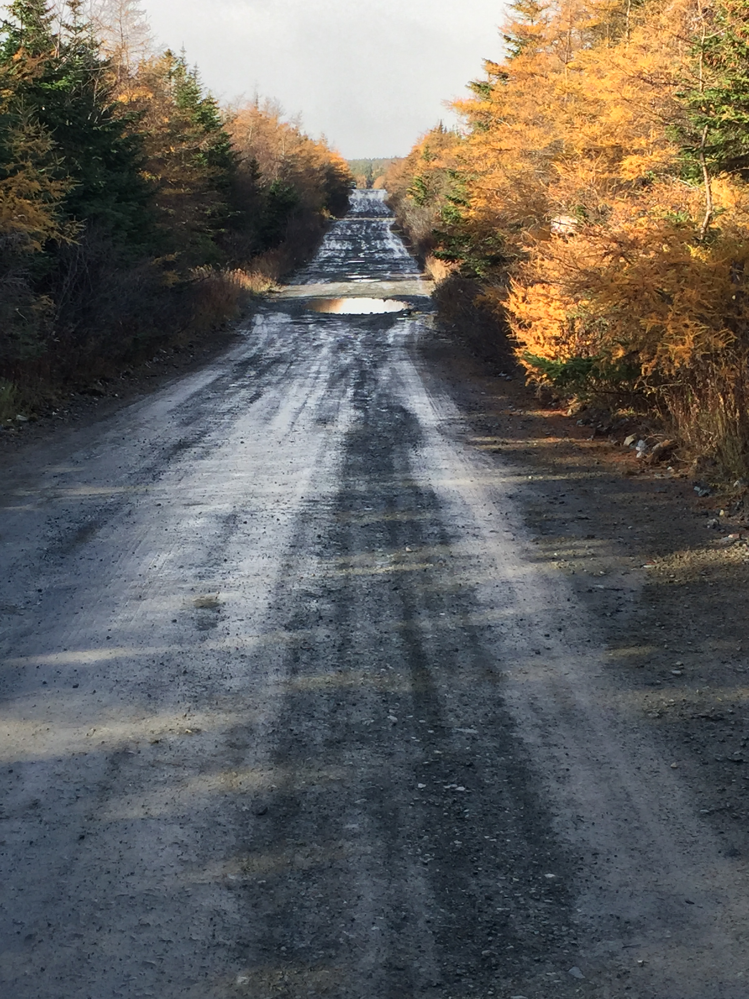 Typical Goulds back road conditions: wet and muddy.
